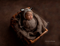 ©ZarinKavaranaPhotography